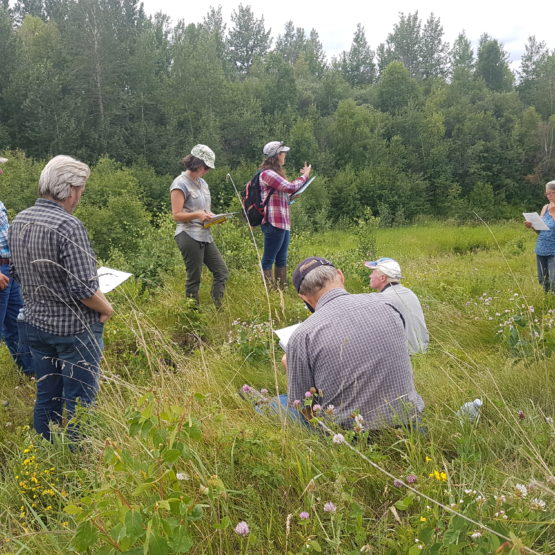 Riparian Forest Enhancement and Management Training