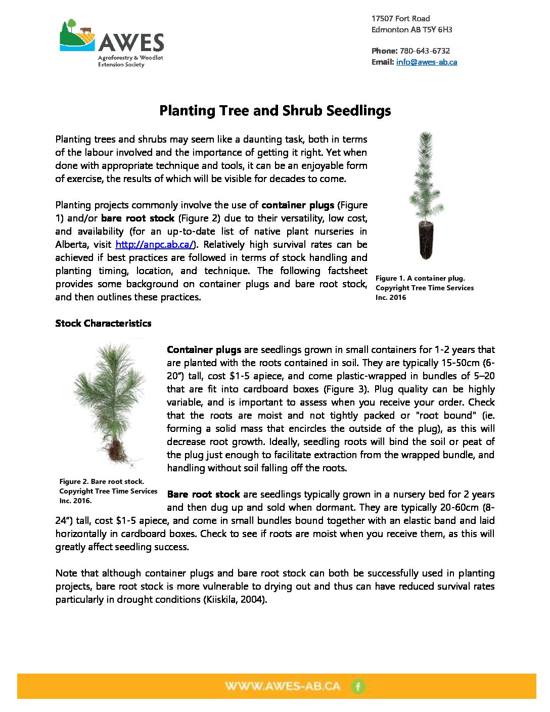 Planting Tree and Shrub Seedlings