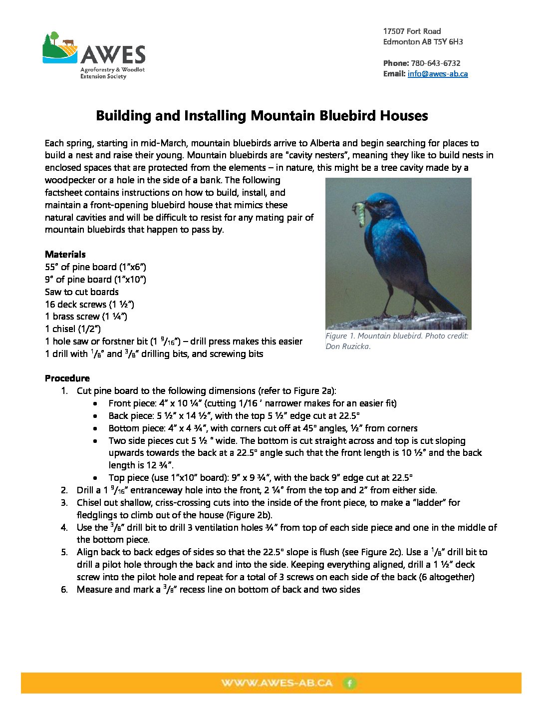 Building and Installing Bluebird Houses