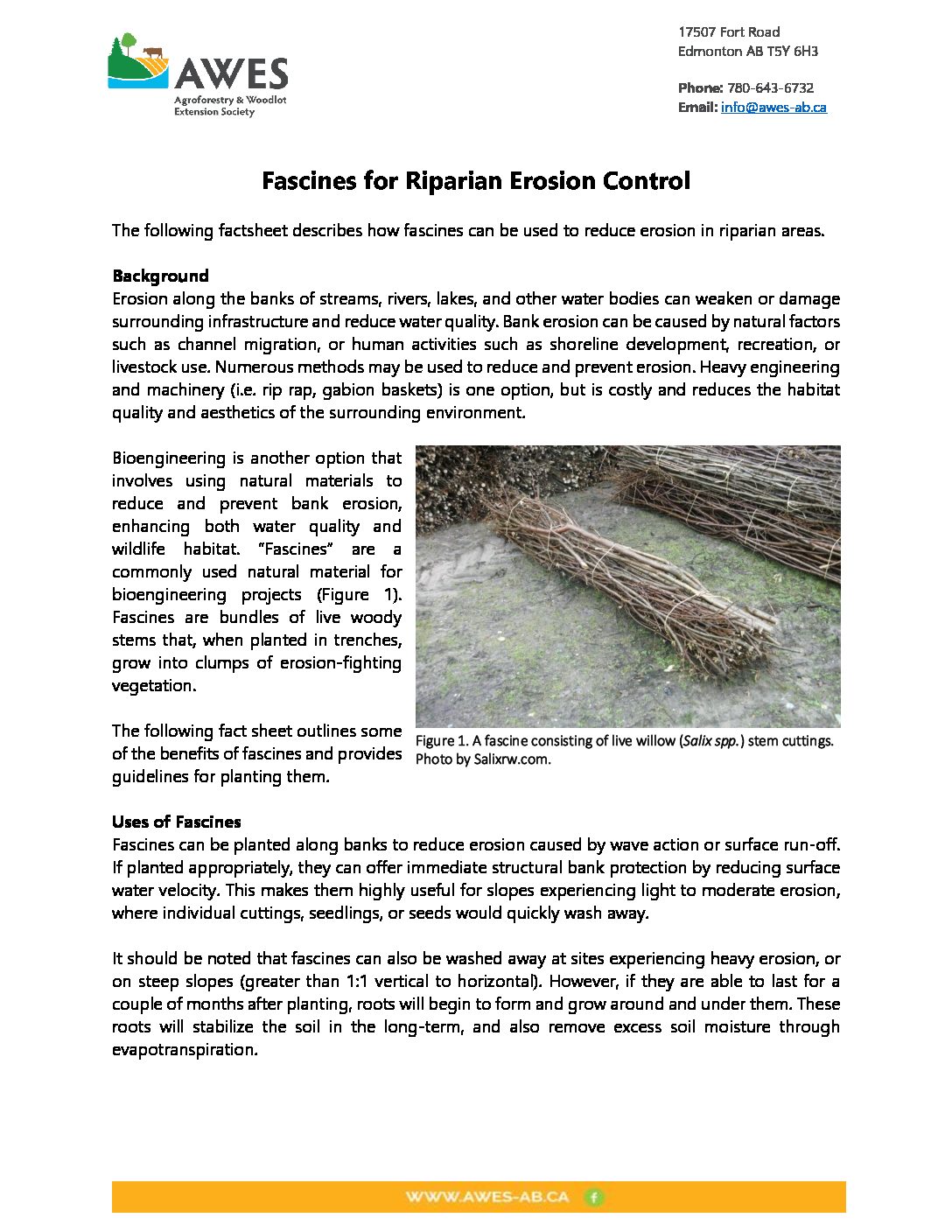 Fascines for Riparian Erosion Control