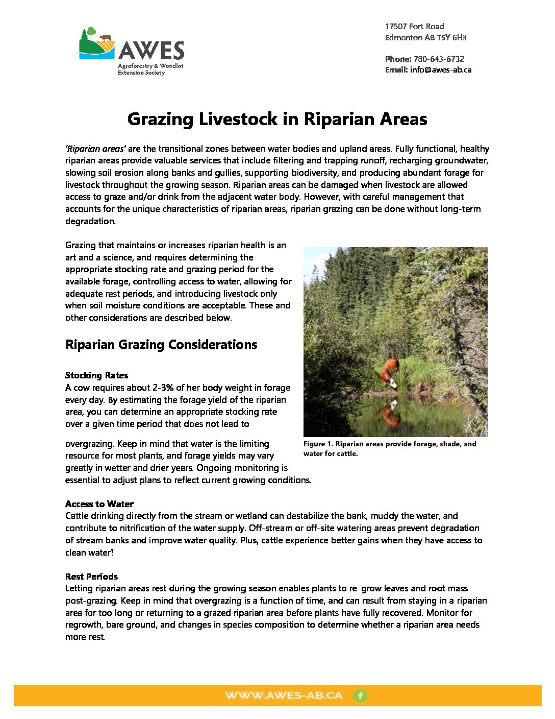 Grazing Livestock in Riparian Areas