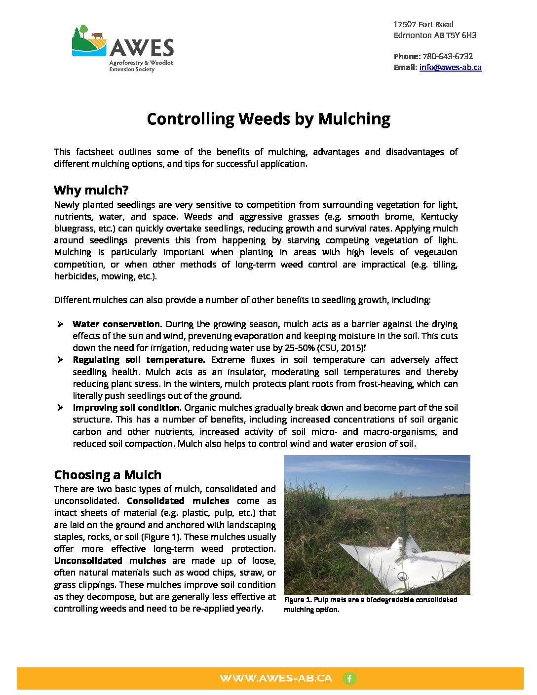 Controlling Weeds by Mulching