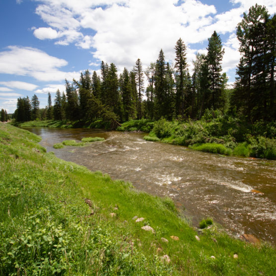 Blindman River Restoration Project