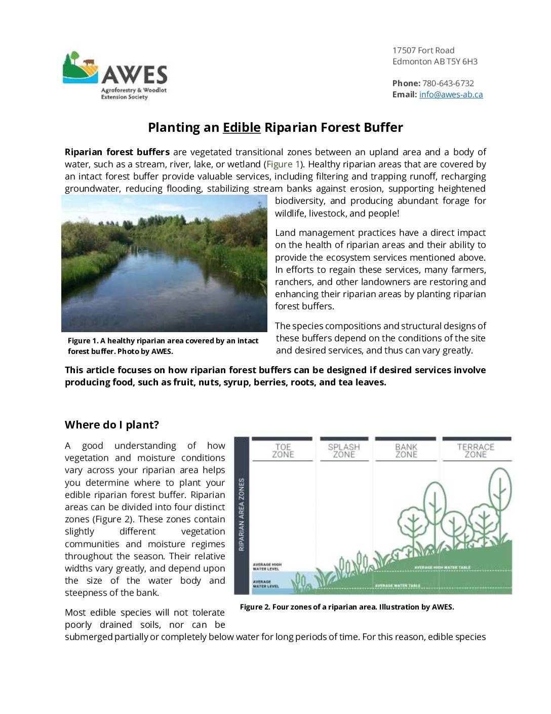 Planting an Edible Riparian Forest Buffer