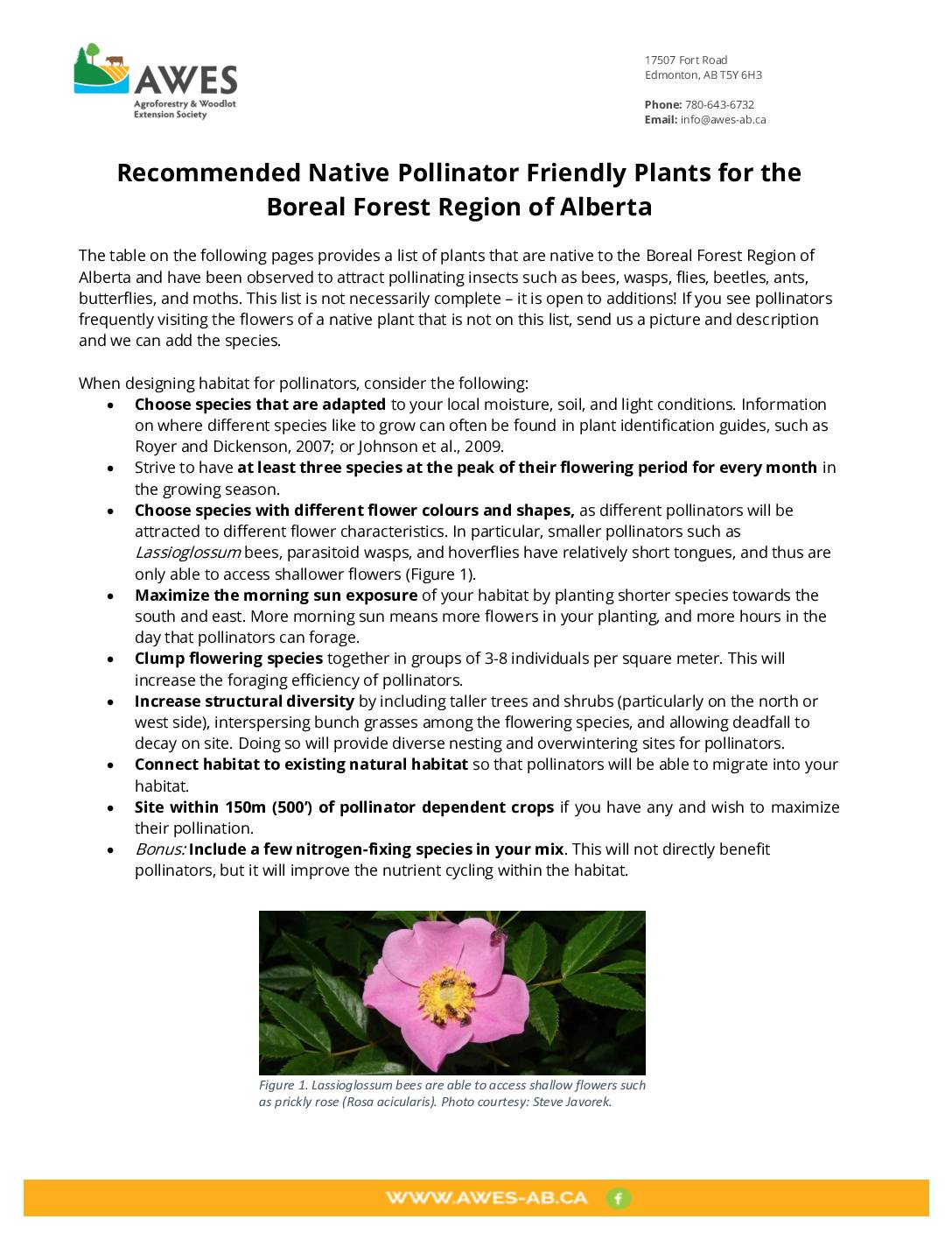 Recommended Native Pollinator Friendly Plants for the Boreal Forest Region of Alberta