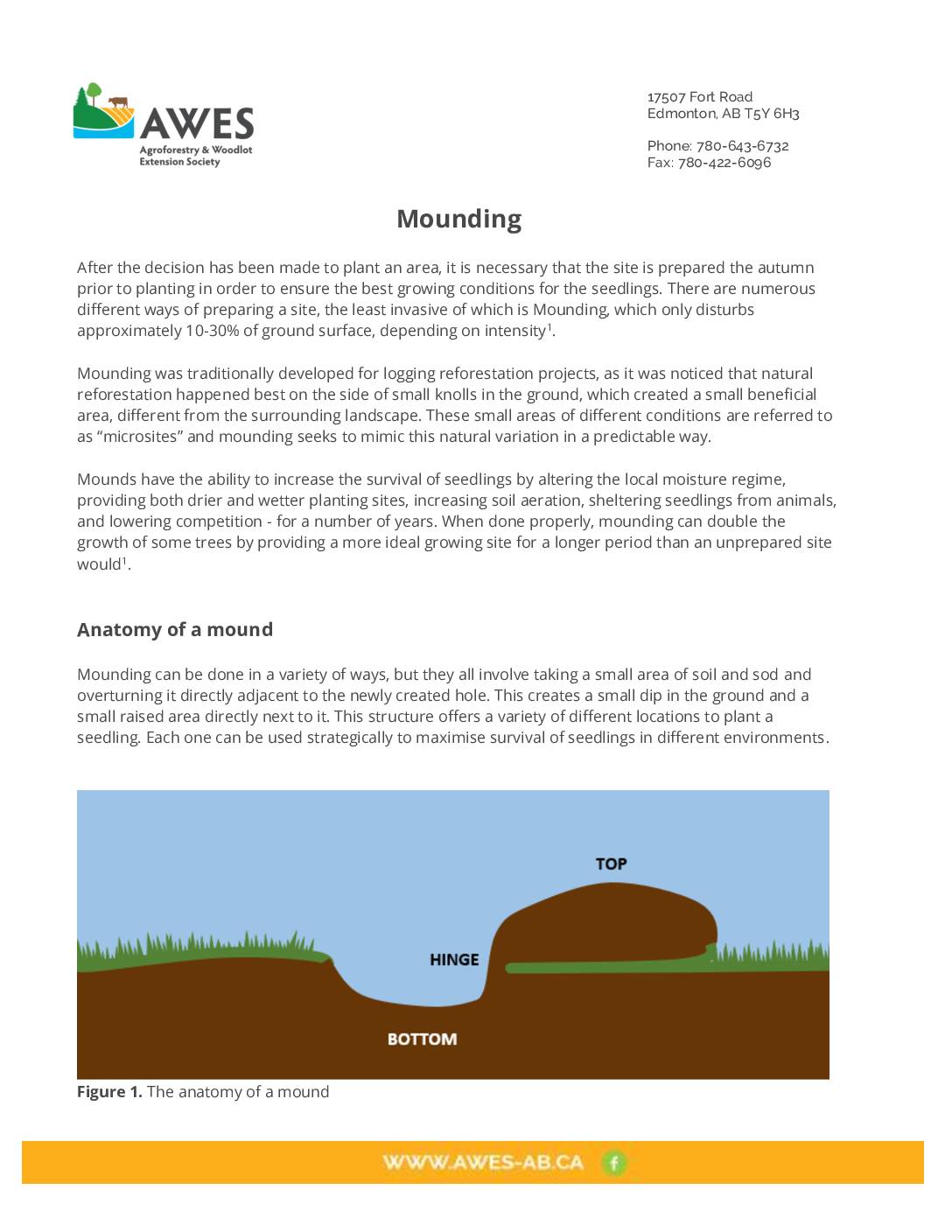 Site Preparation – Mounding