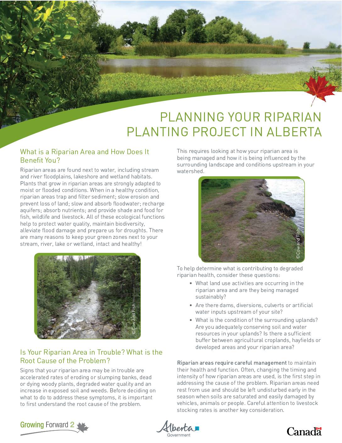 Planning your Riparian Planting Project in Alberta