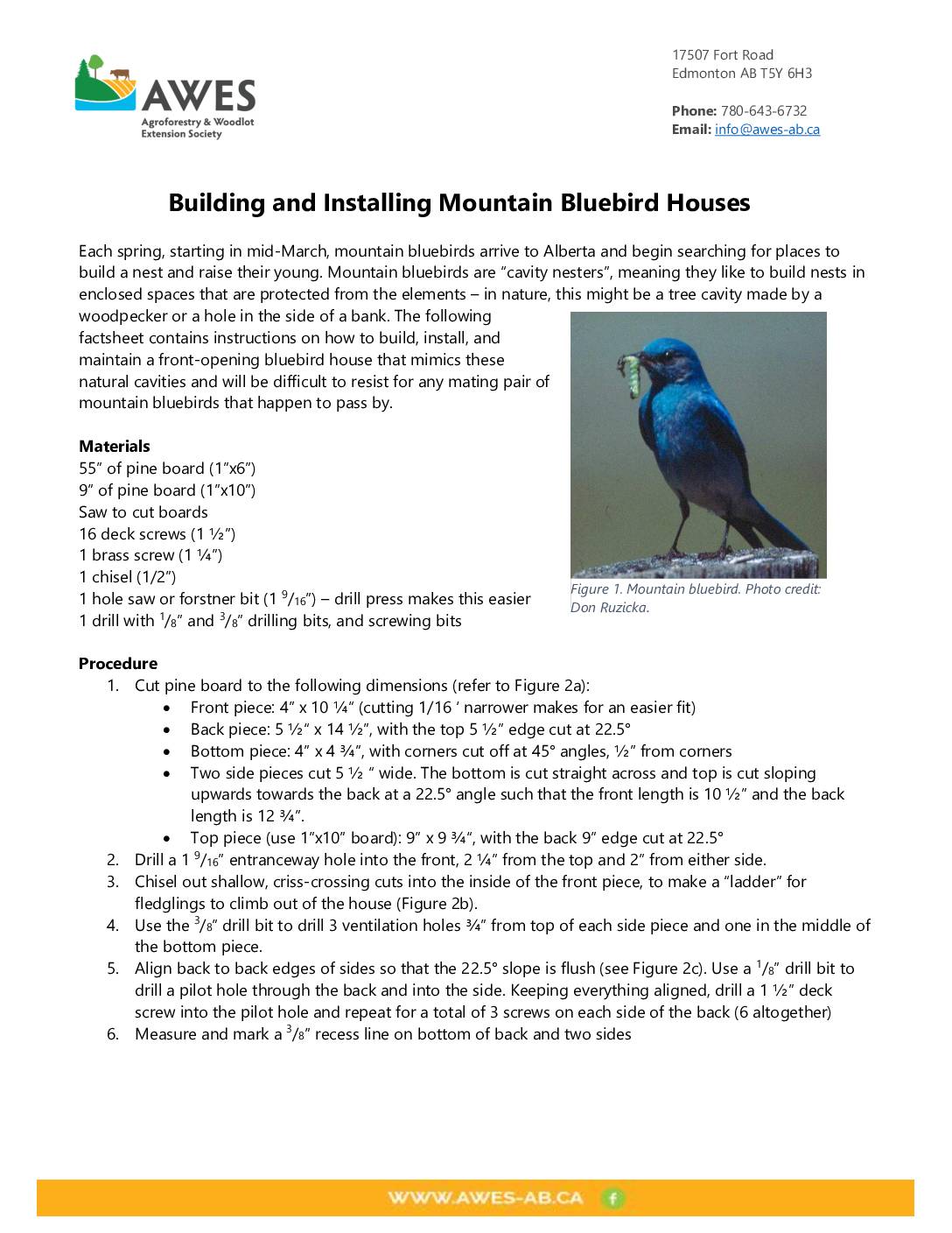 Building and Installing Bluebird Houses