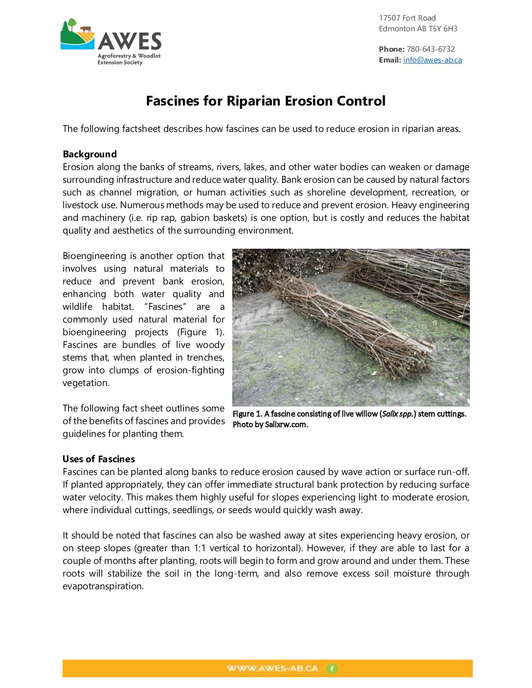 Fascines for Riparian Erosion Control