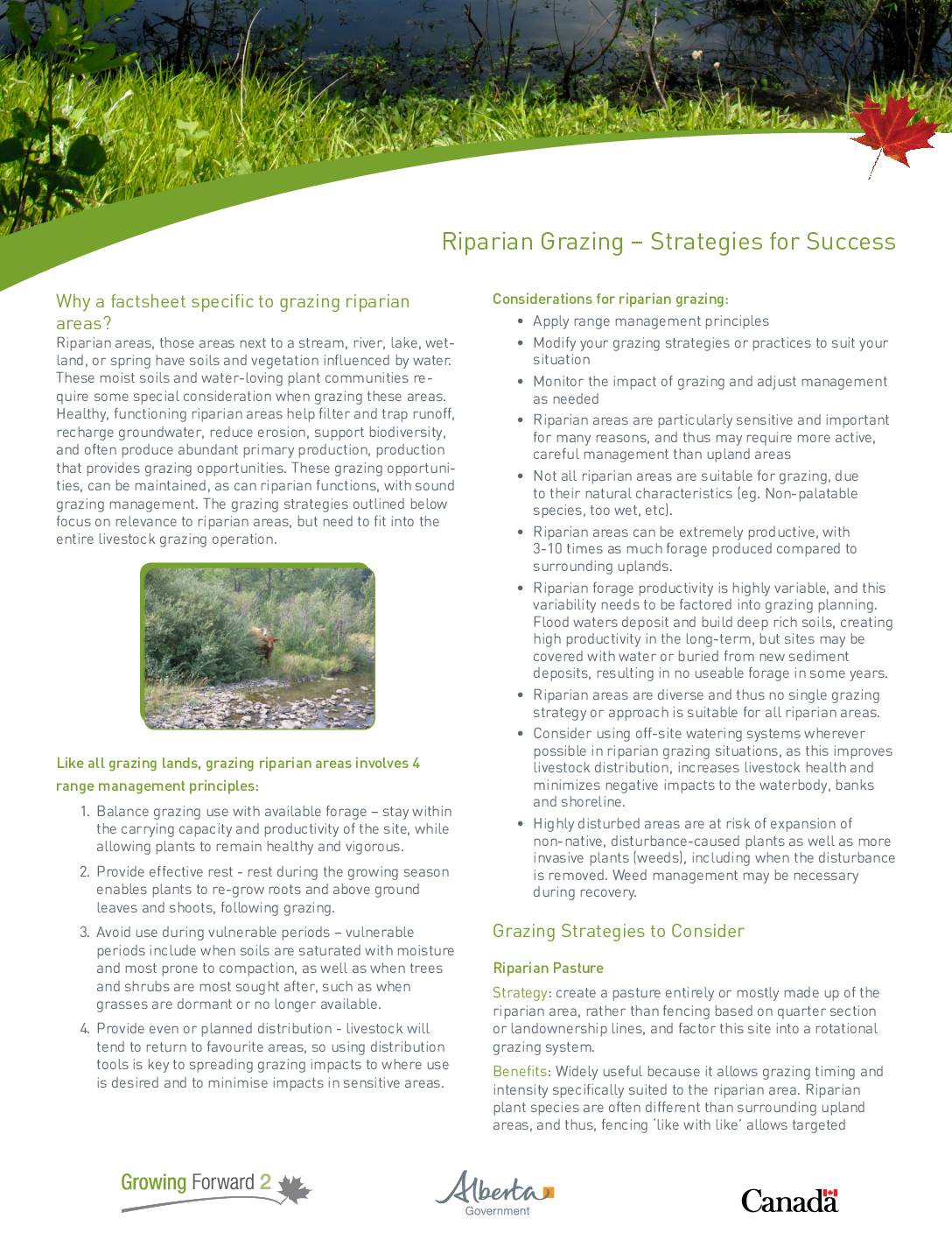 Riparian Grazing – Strategies for Success