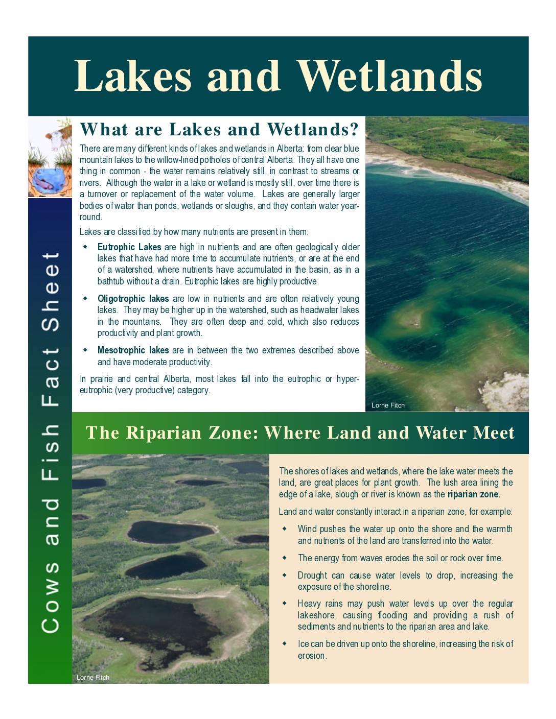 Lakes and Wetlands