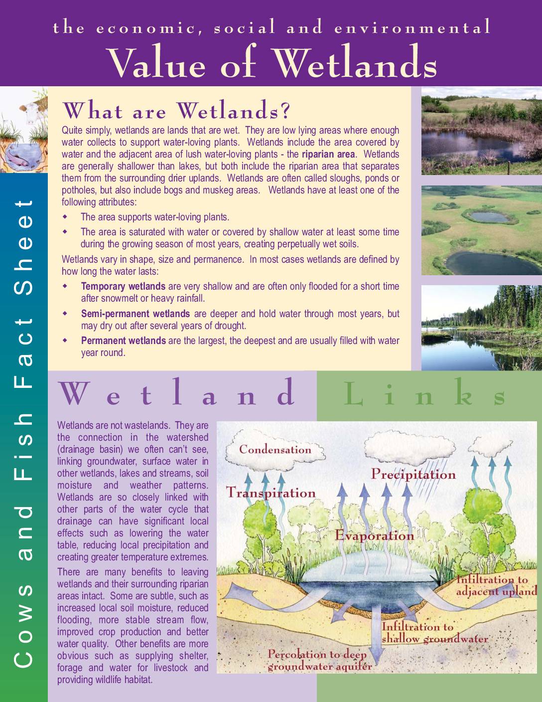 Value of Wetlands