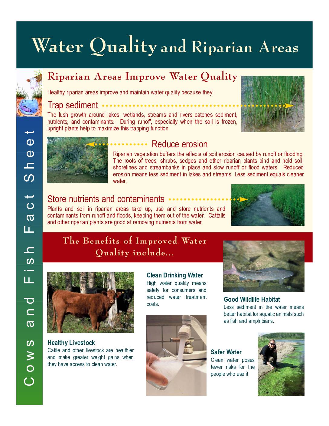 Water Quality