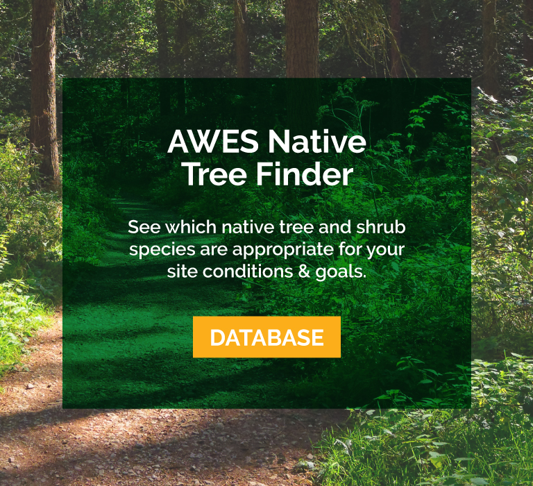 Native Species Database