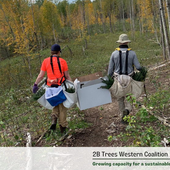 Western Coalition Reforestation Funding & Support