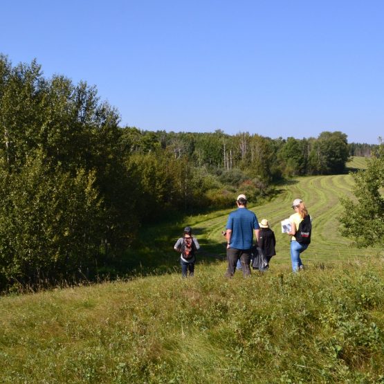 Shelterbelt & Ecobuffer Project