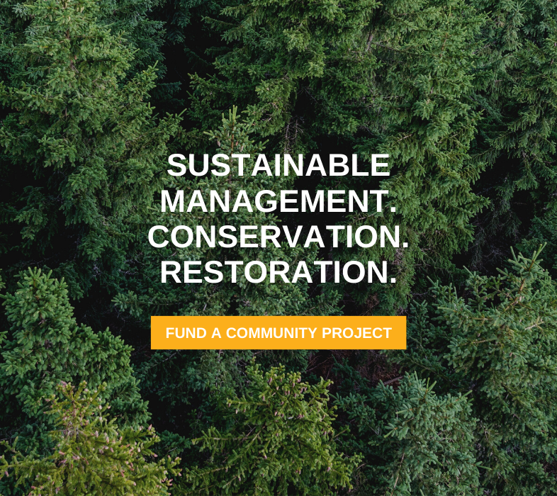 Sustainable Management