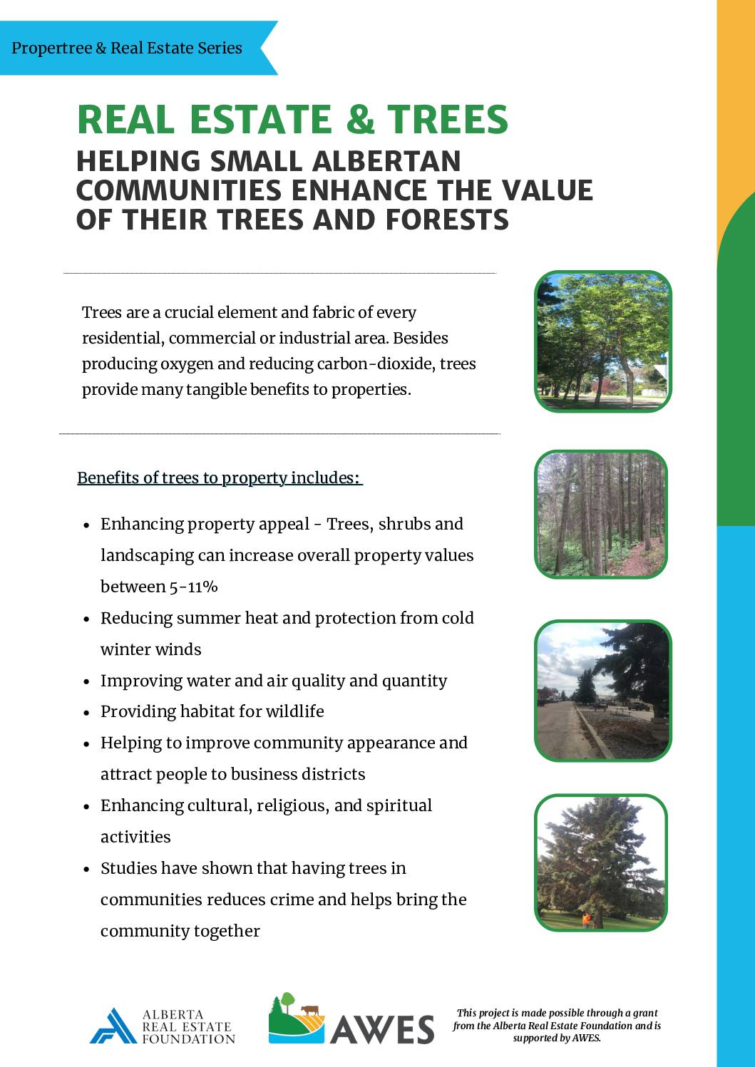Real Estate & Trees: Helping Small Albertan Communities Enhance the Value of their Trees and Forests