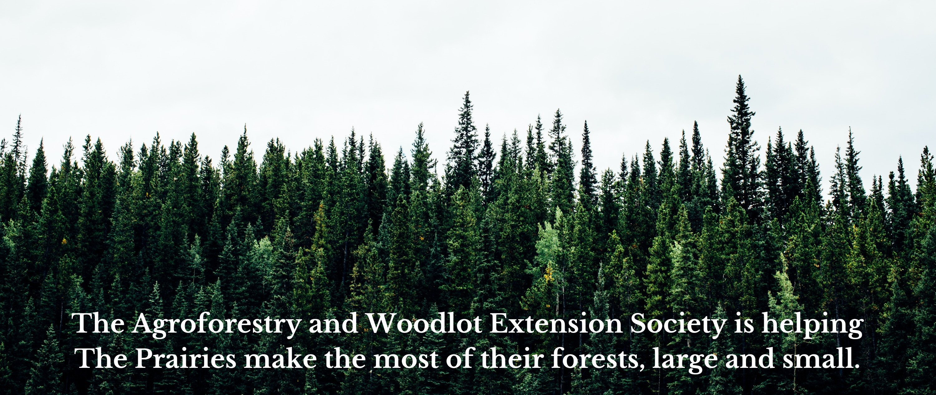 Agroforestry & Woodlot Extension Society